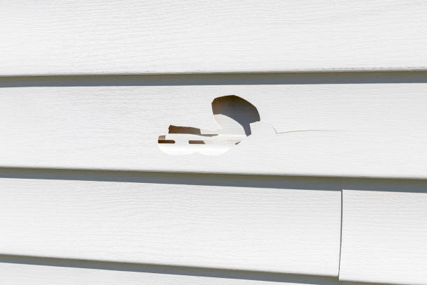 Best Siding Maintenance  in Post, TX