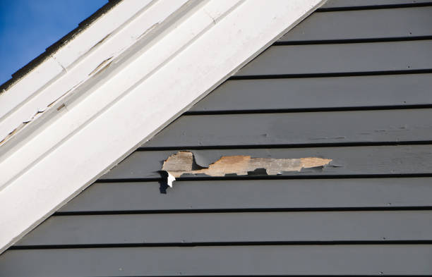 Best Siding for Multi-Family Homes  in Post, TX